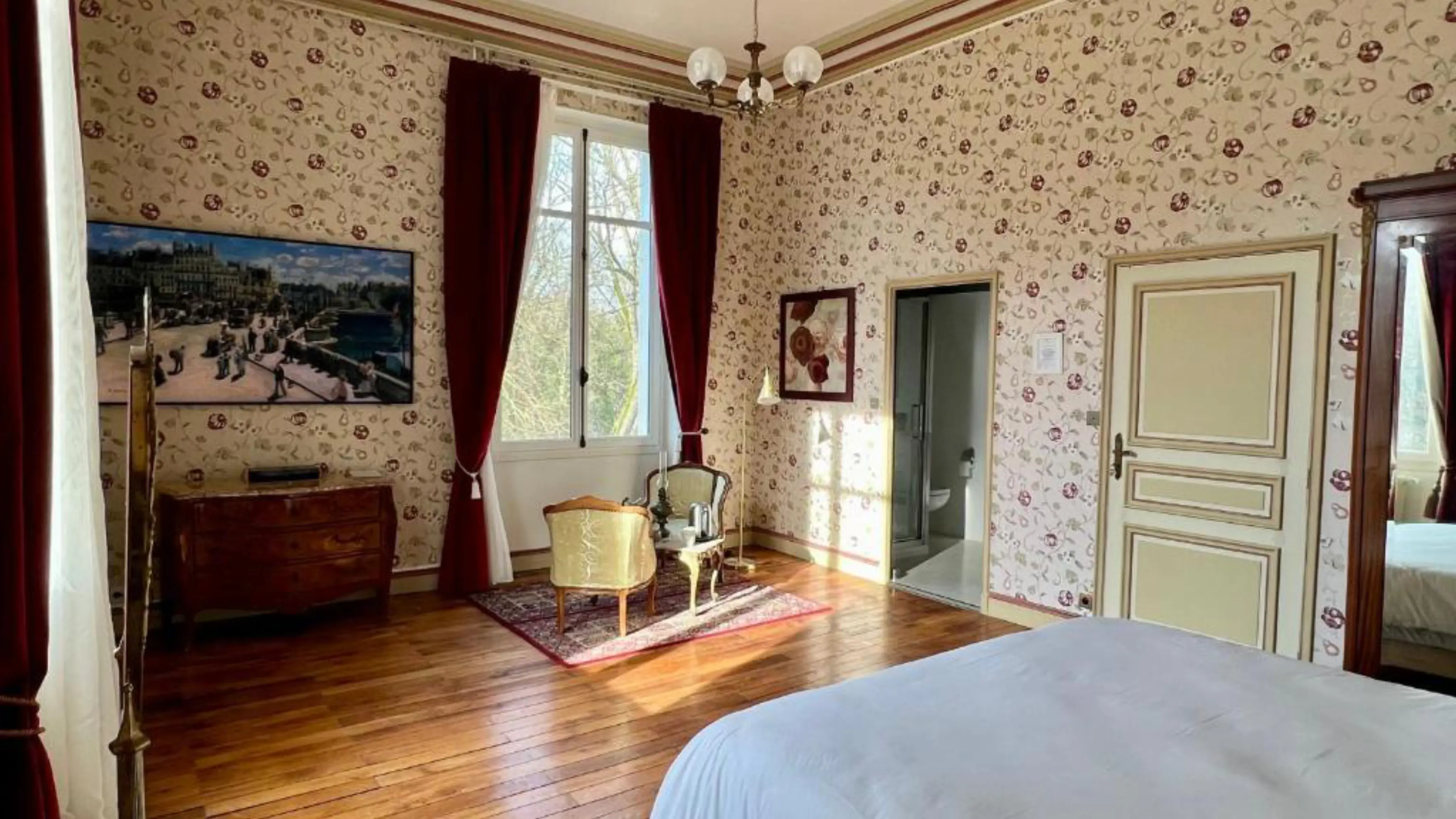 Château de Saint-Bohaire - SAINT-BOHAIRE (Loir-et-Cher)