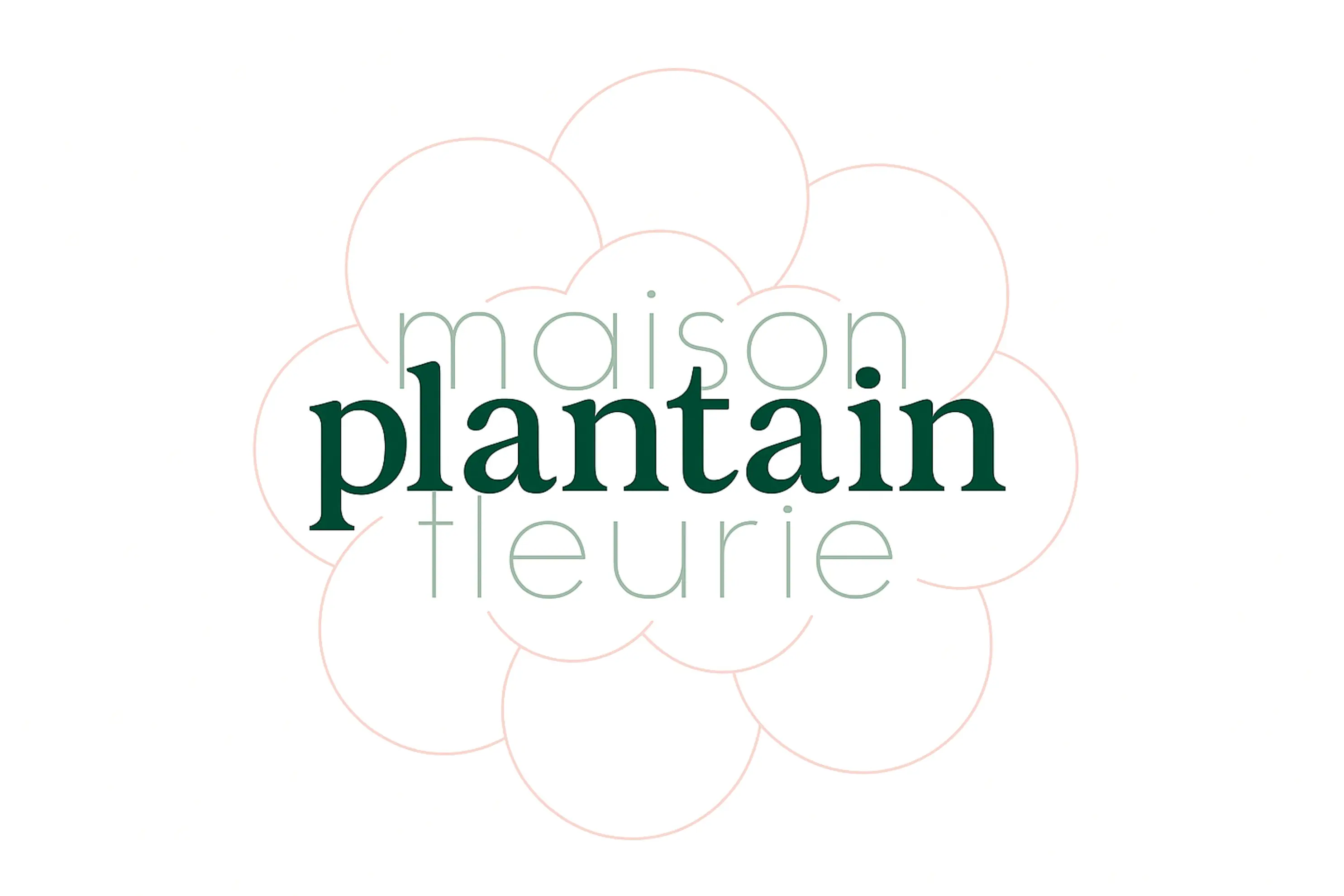 Plantain Maison Fleurie - Tours (Indre-et-Loire)
