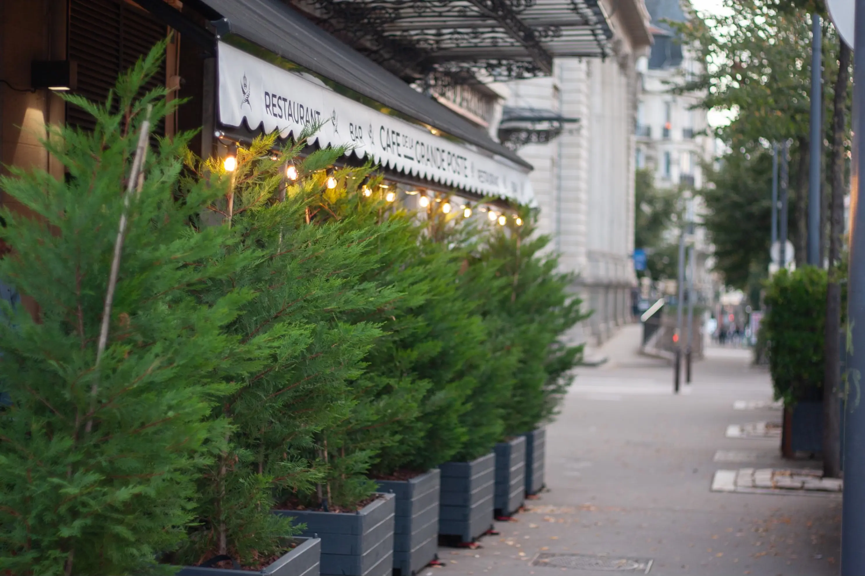 Café de la Grande Poste - Saint-Étienne (Loire)