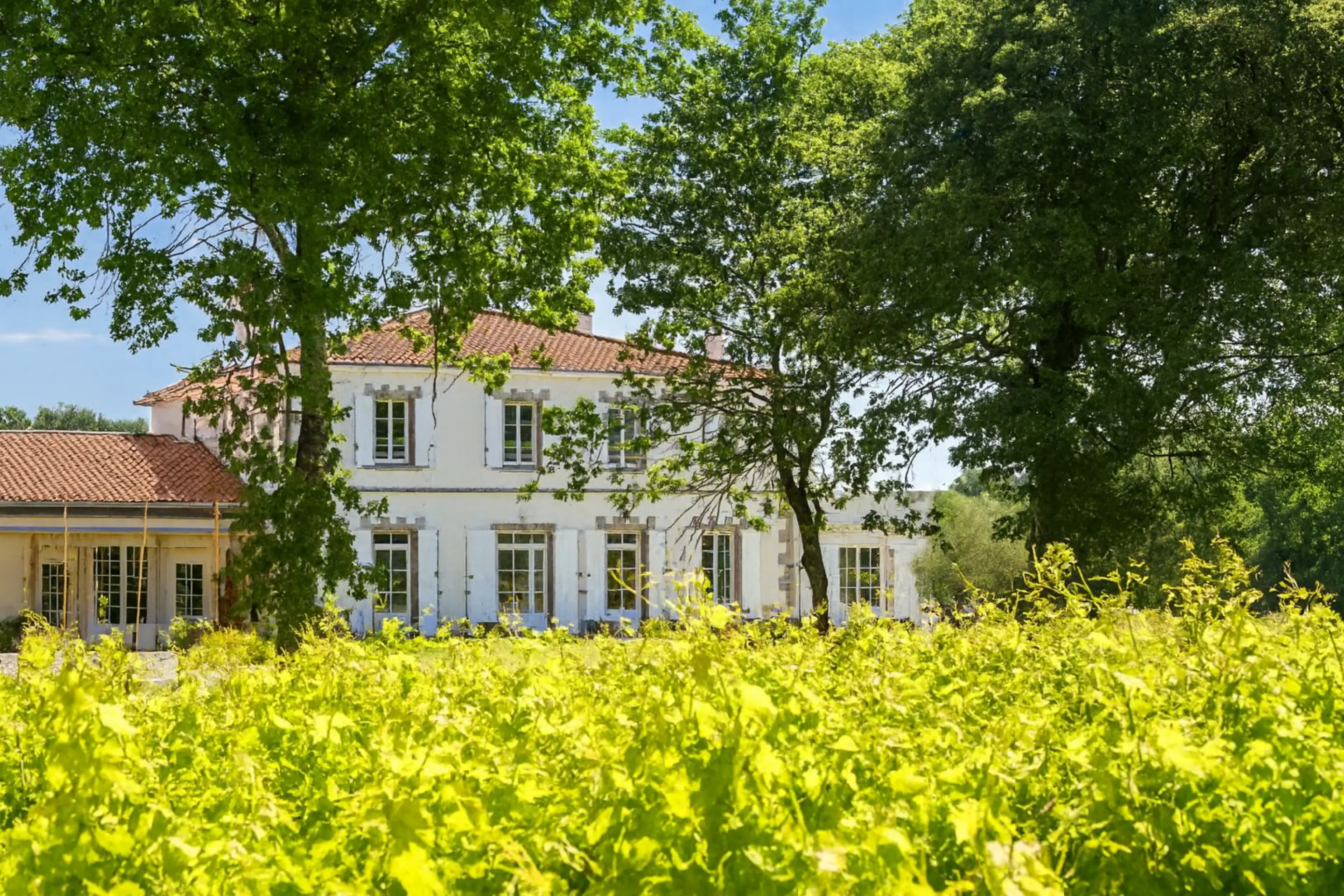 Château du Bois-Huaut - Gorges (Loire-Atlantique)
