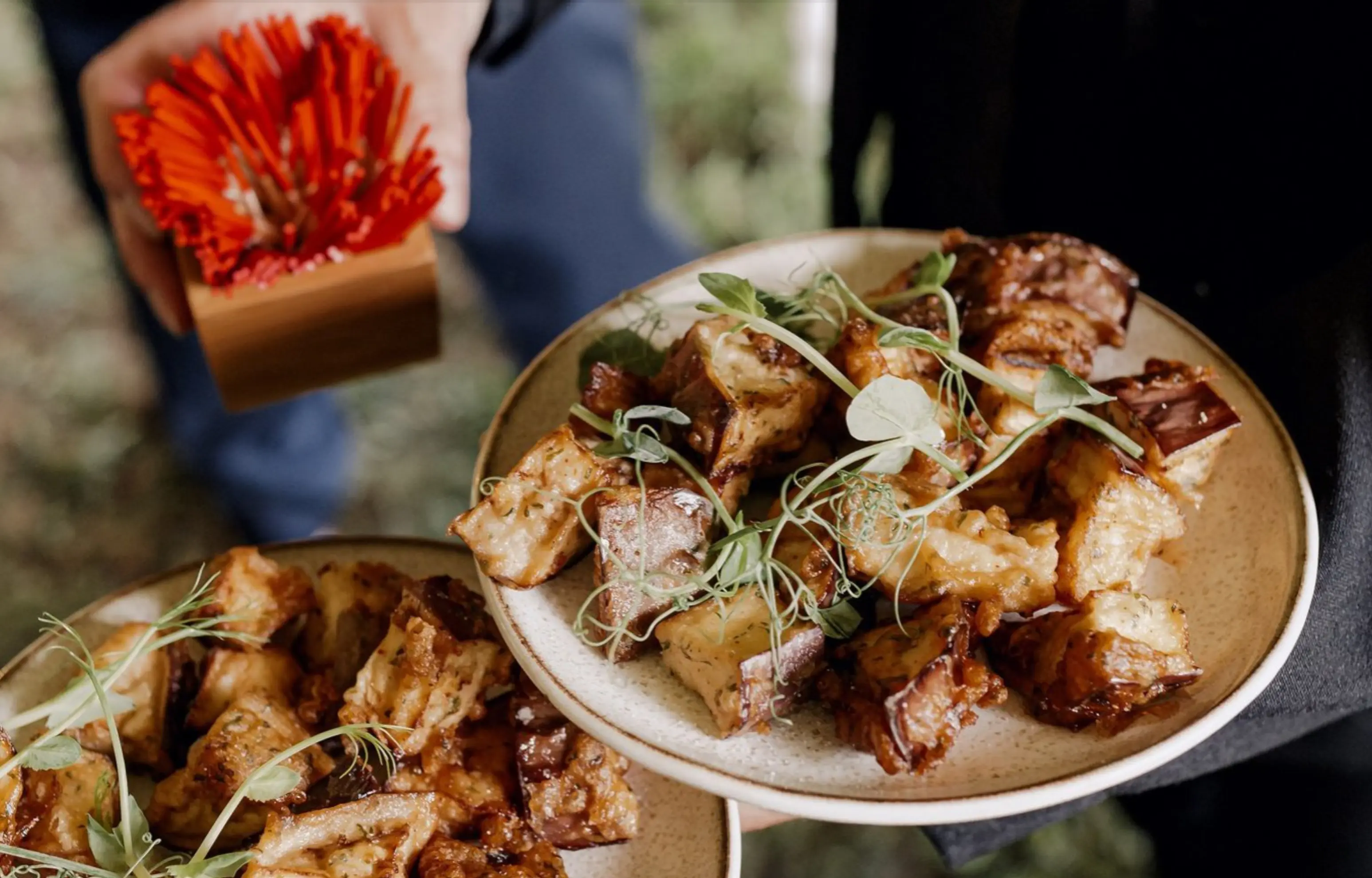 O' Plaisir Gourmand - Cestas (Gironde)
