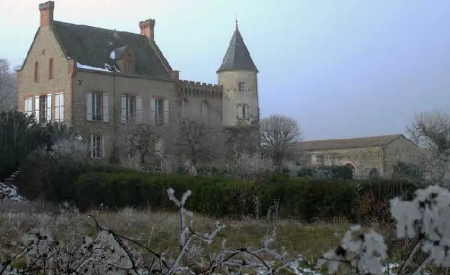 Château de Croisillat - Extérieur