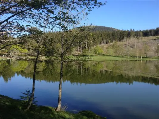 Domaine du Lac Ferrand - Environnement