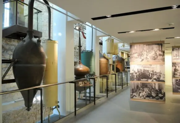 Musée International de la Parfumerie - séminaire Grasse