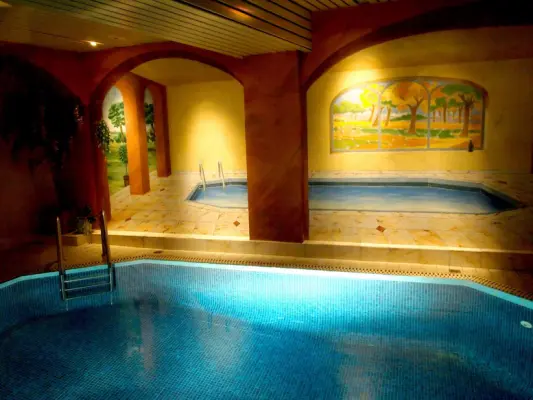 Hotel Restaurant Au Cerf D'Or - piscine