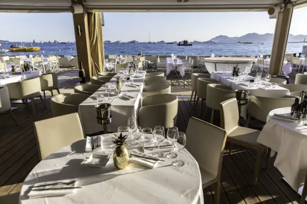 Der Anhang in Cannes