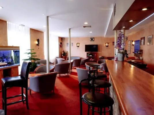 Hôtel restaurant Pédussaut - Bar