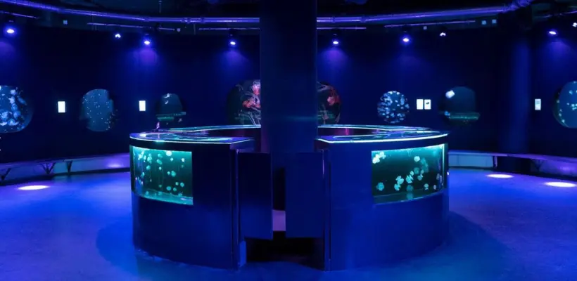 Aquarium de Paris - Le médusarium