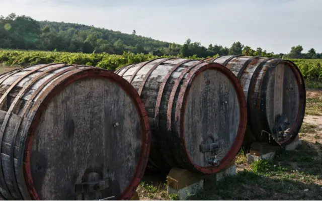 Les Terres de Saint Hilaire - environnement vin