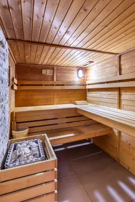Domaine du Clos des Fontaines - sauna finlandais 