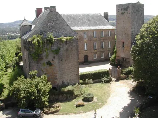 Chateau de Cavagnac in Cavagnac