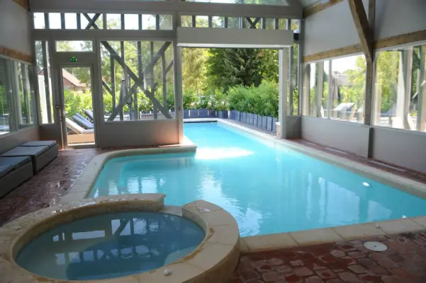 Hôtel Licorne & SPA - piscine pour moment de détente