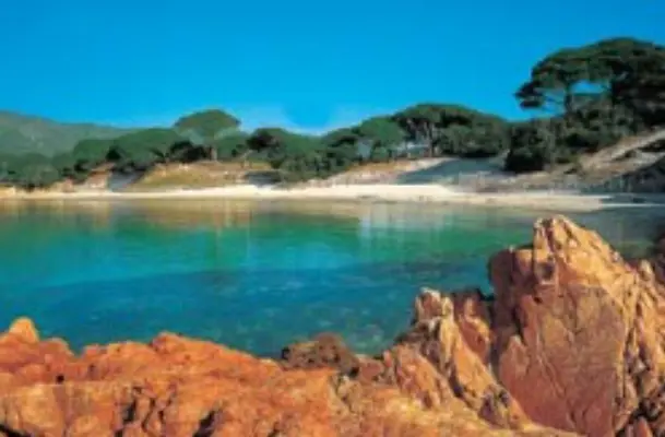 Corsica Linea -  Cap Affaires - 