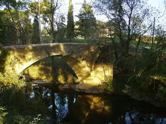 Domaine du Mas du Pont - Le pont romain