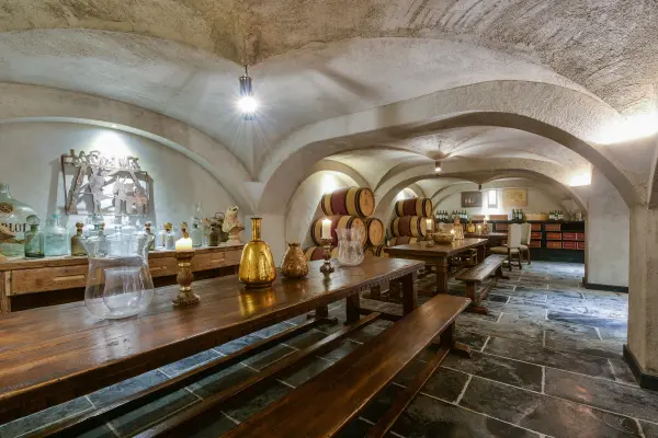 Domaine des Saints Pères - Caveau / Wine cellar