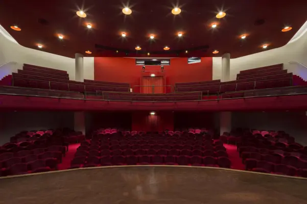 Théâtre de l'Alliance Française - SALLE DU THÉÂTRE /  
Capacité d'accueil 350 places