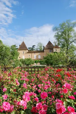 Château Carbonnieux - Environnement