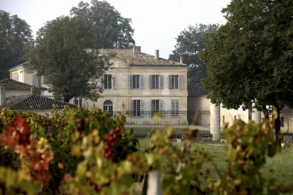 Chateau Goudichaud - Façade