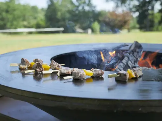 Le Clos des Cèdres - Barbecue