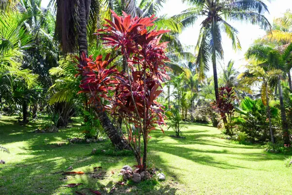 Domaine des Mille Cocos - Séminaire nature