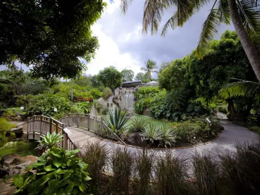 Jardin Botanique de Deshaies - Séminaire nature en Guadeloupe