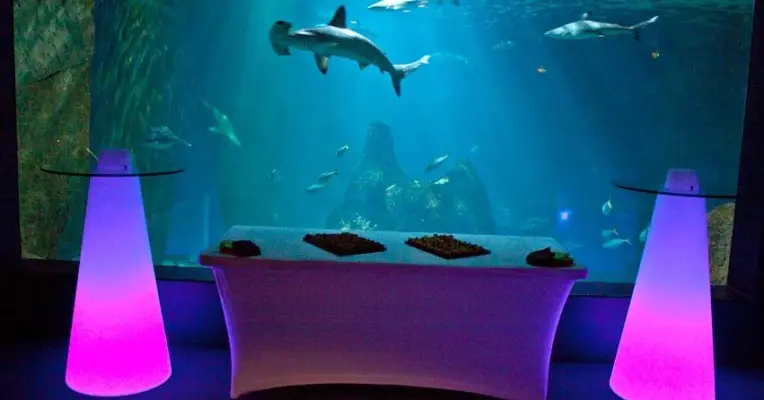 Aquarium Biarritz - Cocktails