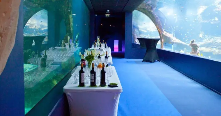Aquarium Biarritz - Location d'une salle atypique