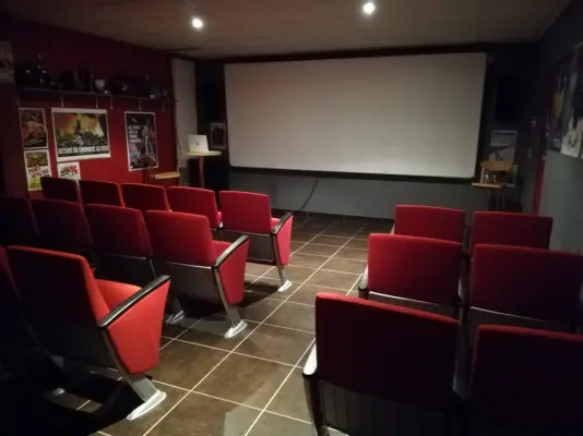 Le Saltimbanque - Salle de projection
