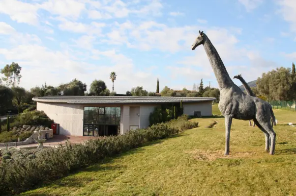 Car Museum Club - jardins girafe