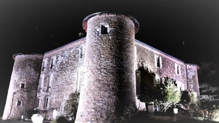 Château de la Frogerie - Les vieilles pierres du Château 600 ans d'histoire