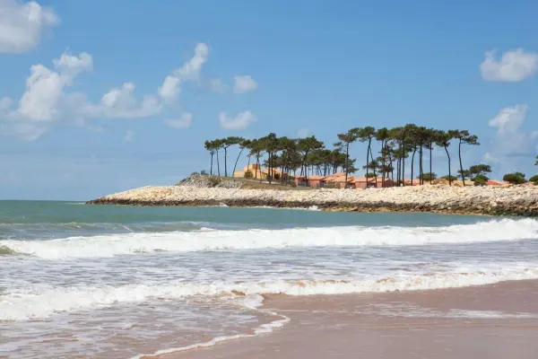 Club Med La Palmyre Atlantique - Medio ambiente