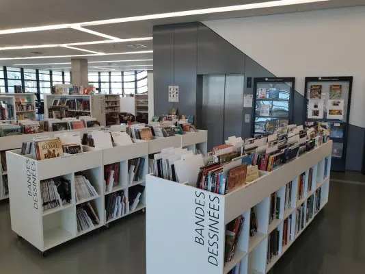 Médiathèque Pierresvives - Bibliothèque