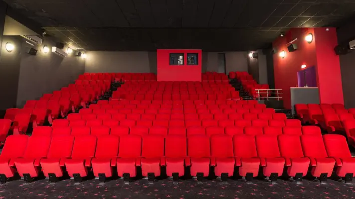 CGR Castres - Cinema room