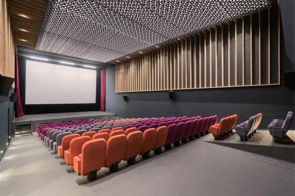 Nuiton cinema - Nuits-Saint-Georges seminar