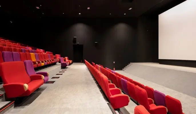 Cinema Véo Muret - seminar Muret