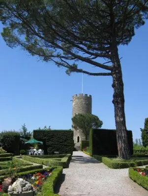 Chateau de Turenne - 