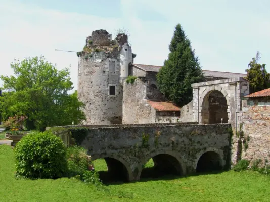 Castle of La Galissonniere in Le Pallet