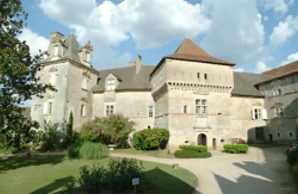 Chateau de Cenevieres - Façade