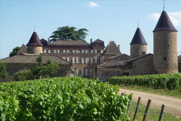 Château de Chasselas - Extérieur