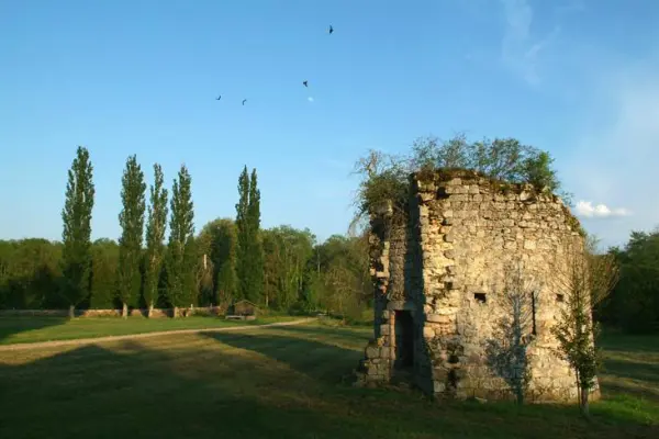 Château Royal du Vivier - 