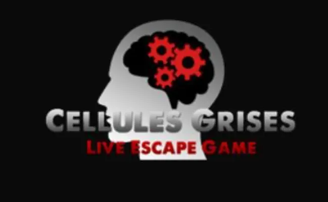 Cellules Grises - 