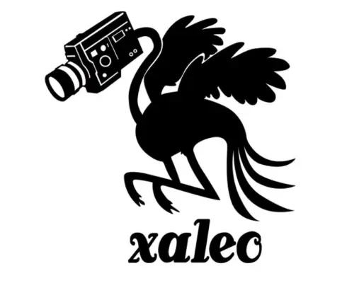 Xaleo Studio - Seminarort in BORDEAUX (33)