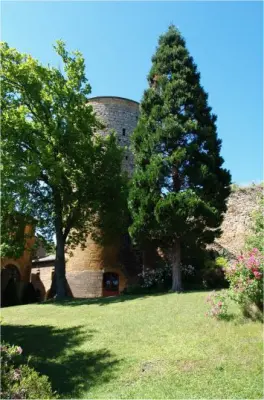 Chateau de Chessy - Jardin