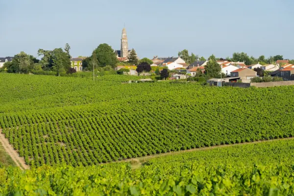 Tourismusbüro Nantes Weingut - Weingut Nantes