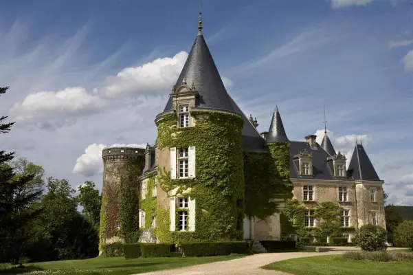 Hôtel  Spa Château de La Côte - Extérieur