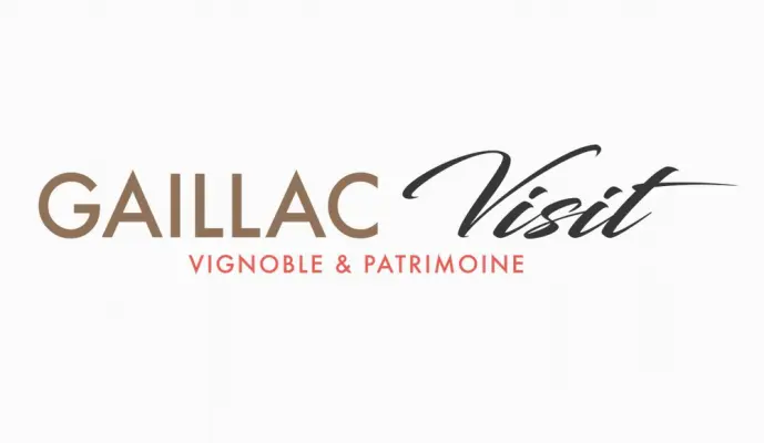 Gaillac Visit - Seminar location in VIEUX (81)