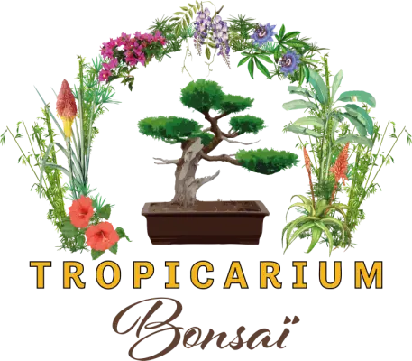 Tropicarium Bonsai - Seminarort in LA BAULE (44)