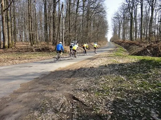 Le Noirlac - Vélo en forêt de Troncais