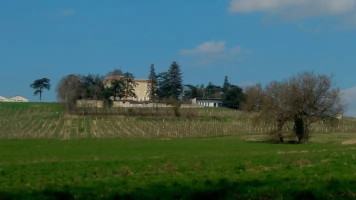 Chateau de Mons en Armagnac